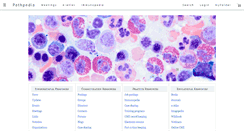 Desktop Screenshot of pathpedia.com